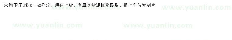 求購(gòu)40-50公分衛(wèi)矛球