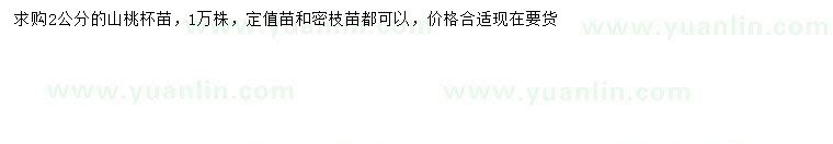 求購2公分山桃