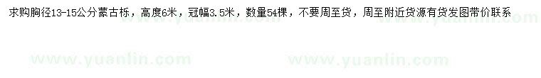 求購胸徑13-15公分蒙古櫟