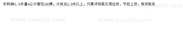 求購(gòu)1.3米量4公分櫻花