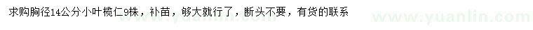 求購胸徑14公分小葉欖仁