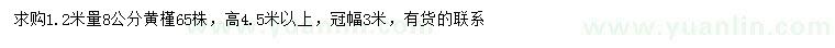 求購(gòu)1.2米量8公分黃槿