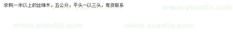 求購1米以上絲綿木