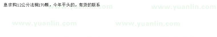 求購12公分法桐
