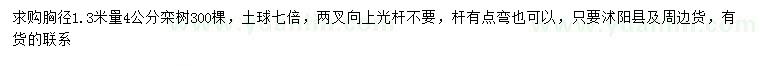 求購1.3米量4公分欒樹