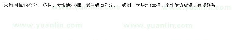 求購18公分國槐、20公分老白蠟