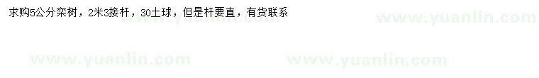 求購5公分欒樹