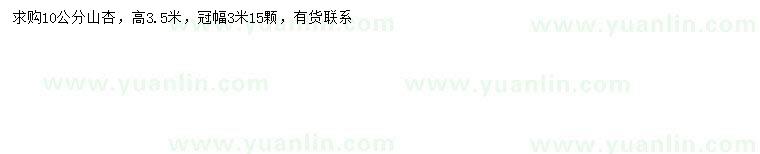 求購10公分山杏