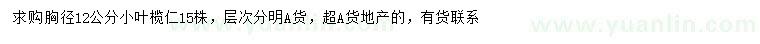 求購胸徑12公分小葉欖仁