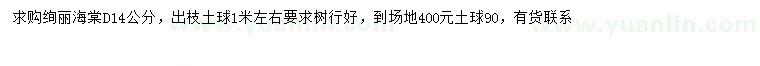 求購地徑14公分絢麗海棠