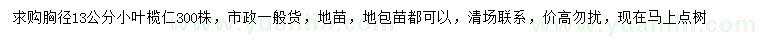 求購胸徑13公分小葉欖仁