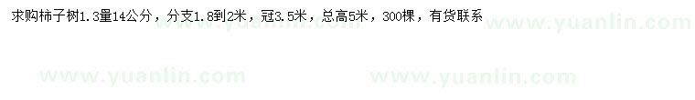 求購1.3米量14公分柿子樹