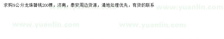 求購9公分龍珠碧桃