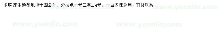 求購地徑14公分速生紫薇