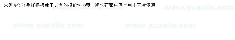 求購6公分垂柳