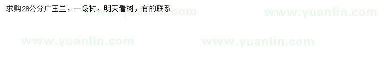 求購28公分廣玉蘭