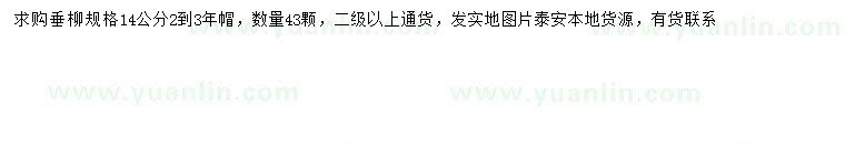 求購14公分垂柳