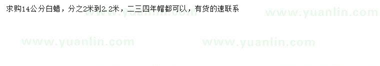 求購14公分白蠟
