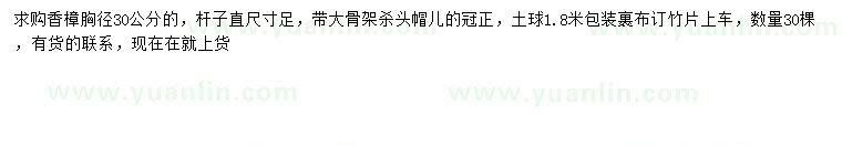 求購胸徑30公分香樟