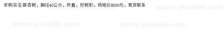 求購(gòu)胸徑40公分實(shí)生銀杏