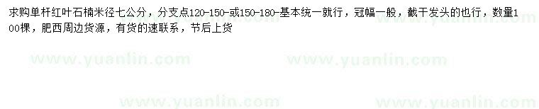 求購米徑7公分紅葉石楠