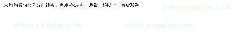 求購胸徑14公公分銀杏