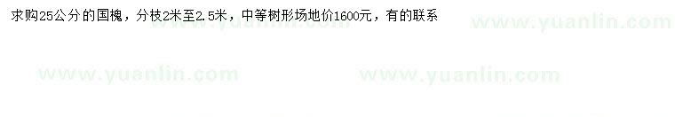求購25公分國槐