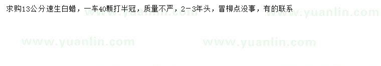 求購(gòu)13公分速生白蠟