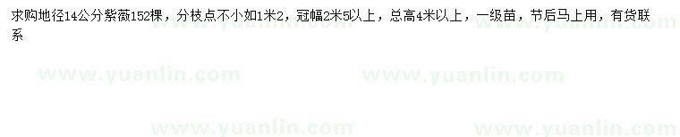 求購(gòu)地徑14公分紫薇