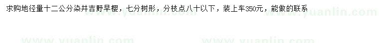 求購(gòu)地徑12公分染井吉野櫻