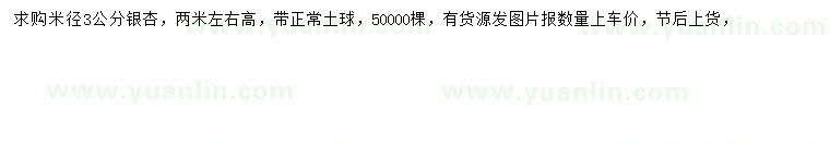 求購米徑3公分銀杏
