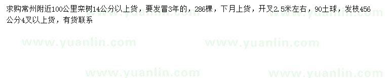 求購14公分以上欒樹(shù)
