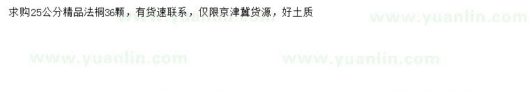 求購25公分法桐