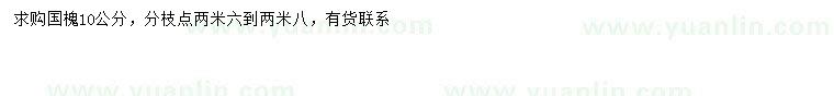 求購10公分國槐