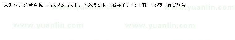 求購10公分黃金槐