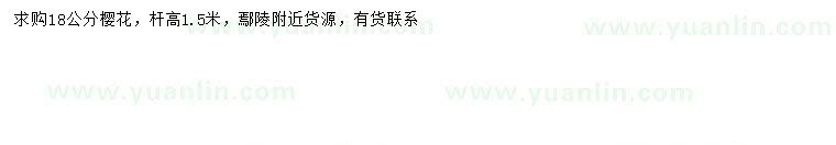 求購18公分櫻花