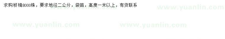 求購地徑2公分楨楠