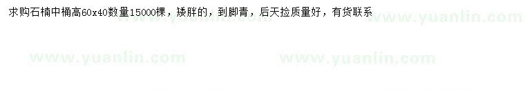 求購高60公分石楠