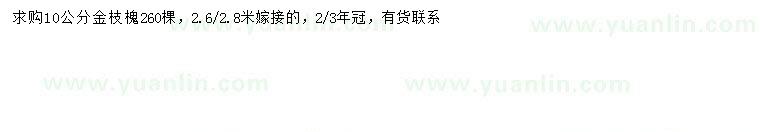 求購10公分金枝槐