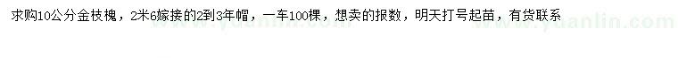 求購(gòu)10公分金枝槐