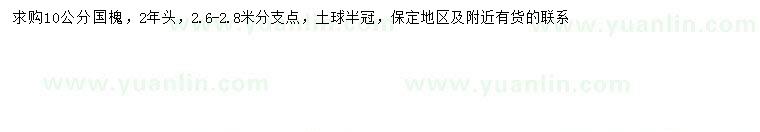 求購10公分國槐