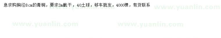 求購(gòu)胸徑8公分青桐