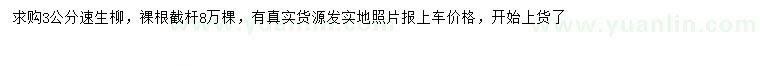 求購3公分速生柳