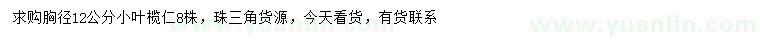 求購胸徑12公分小葉欖仁