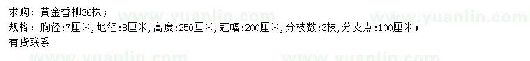 求購胸徑7公分黃金香柳