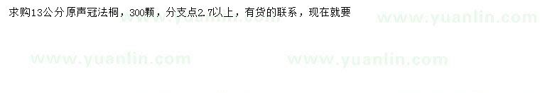 求購13公分法桐