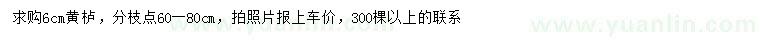求購6公分黃櫨