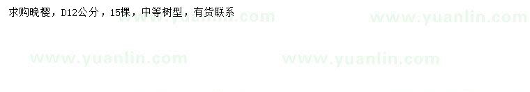 求購地徑12公分晚櫻