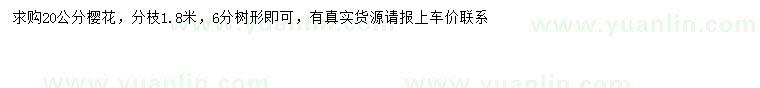 求購20公分櫻花