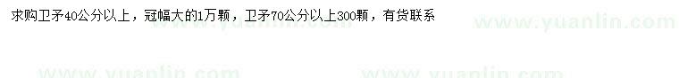 求購40公分以上衛矛